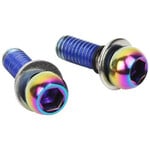 SRAM Caliper Mounting Hardware Direct and Standard Mount - Stainless Rainbow Bolts