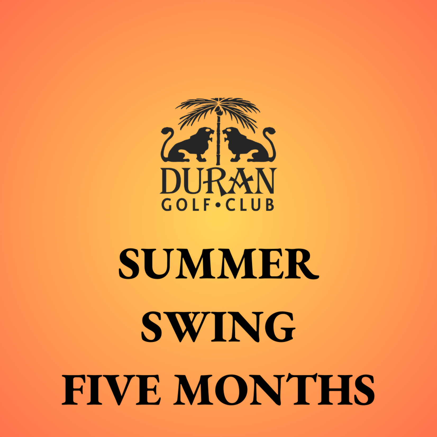 Summer Swing (5 Months) - Summer Swing