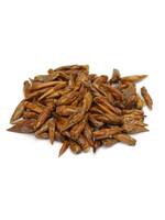 Balm Of Gilead  | Populus candicans | Whole Organic