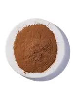 Cinnamon (Cinnamomum burmani) | Powdered Organic