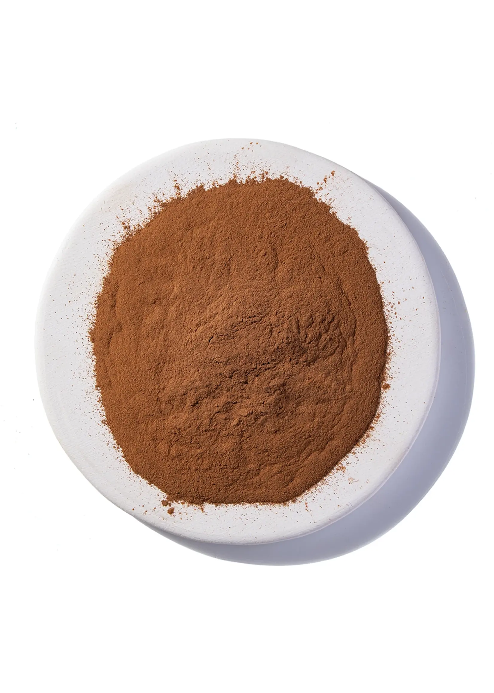 Cinnamon (Cinnamomum burmani) | Powdered Organic