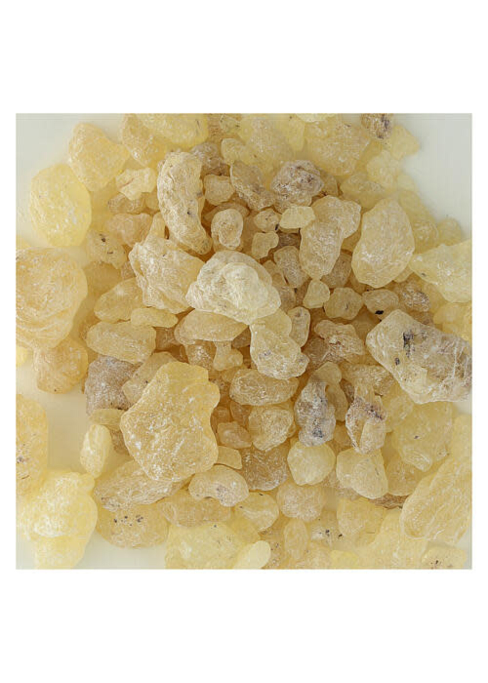 Damar Resin (Shorea Javanica) | Whole Organic