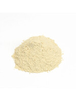 Ginseng American White Root (Panax quinquefolius) | Powdered Organic