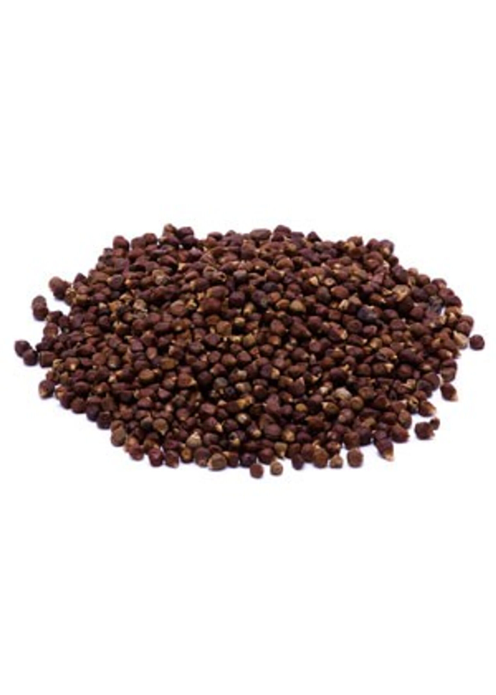 Grains Of Paradise Seed (Aframomum melegueta) | Whole Organic