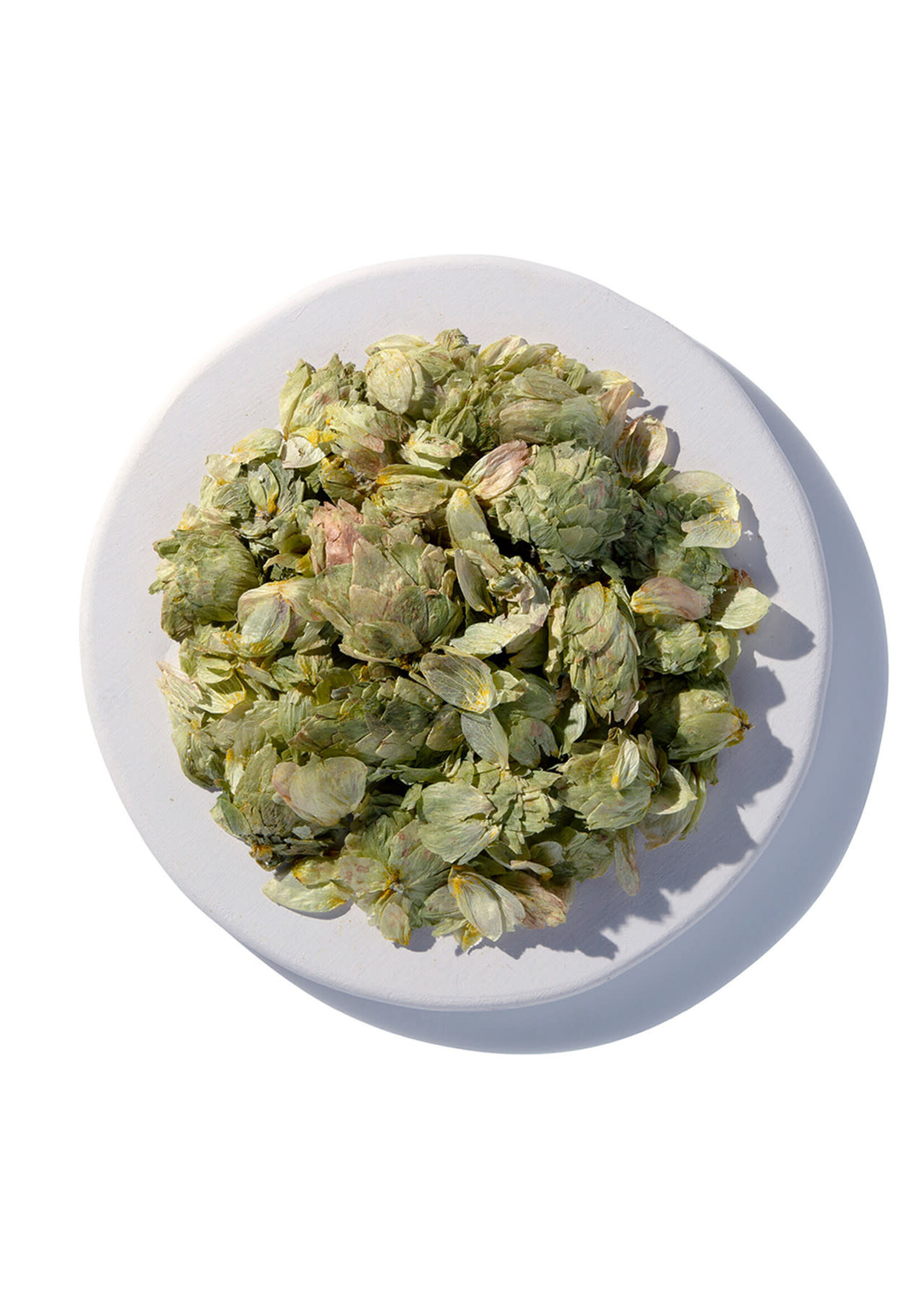 Hops Flowers (Humulus lupulus) | Whole Organic