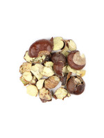 Horse Chestnuts (Aesculus hippocastanum) | Whole and Pieces Organic