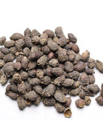 Jambul Seed (Syzygium jambolanum) | Cut/Sifted Organic