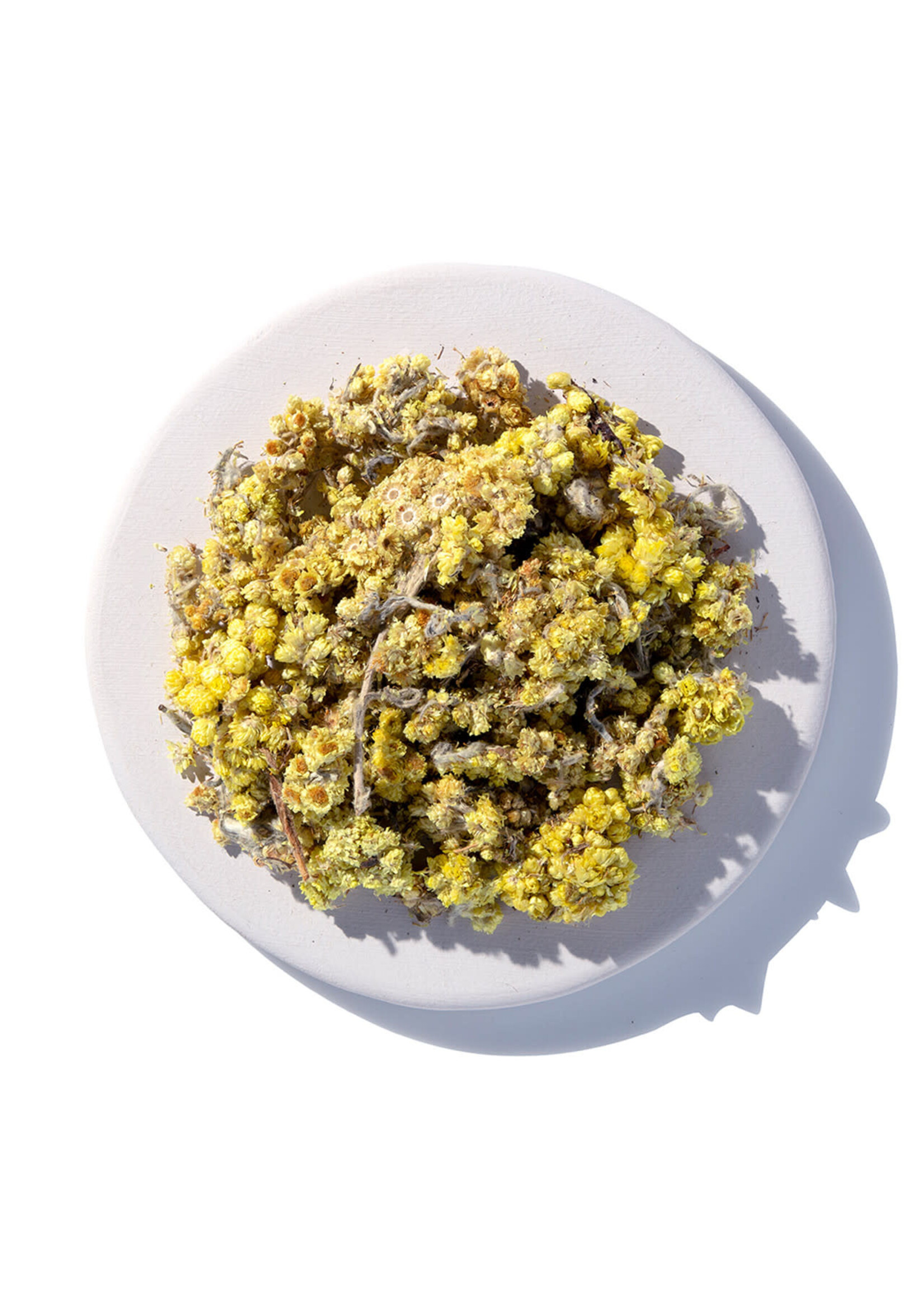 Life Everlasting Flowers (Helichrysum stoechas) | Whole Organic