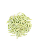 Milky Oat Tops (Avena )| Whole Organic