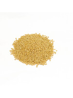 Mustard Seed yellow (Sinapis alba) | Whole Organic