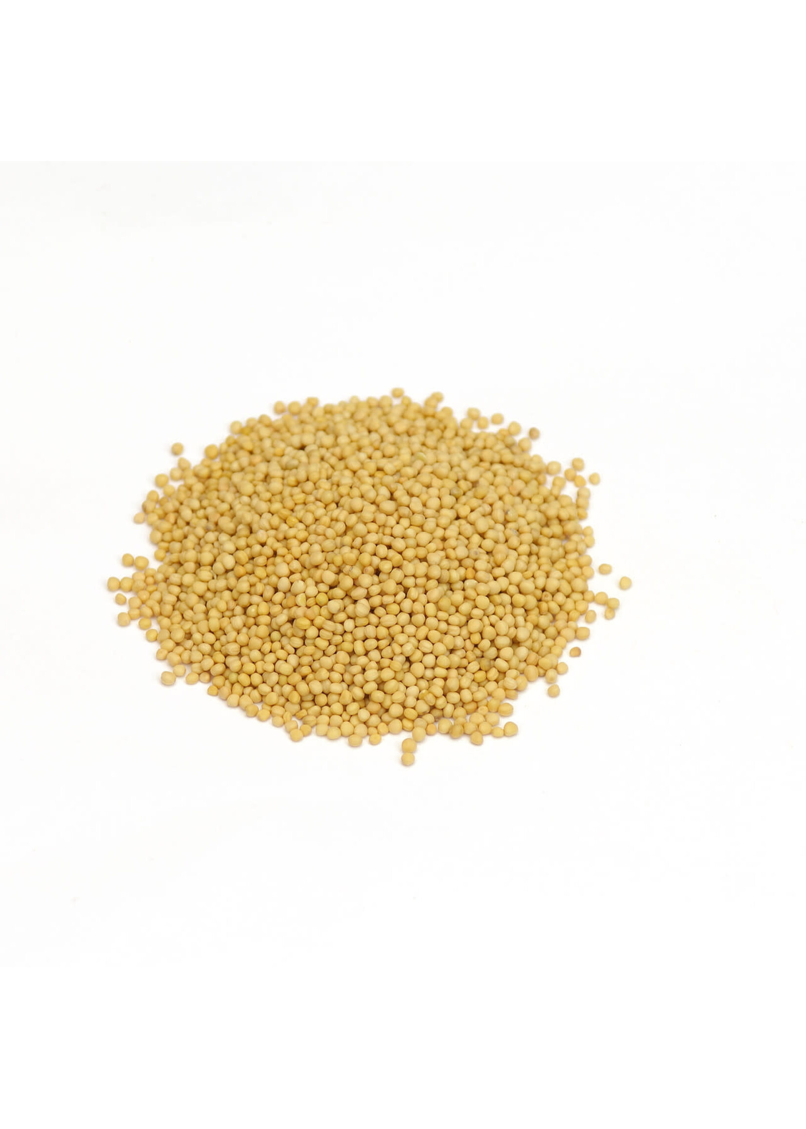 Mustard Seed yellow (Sinapis alba) | Whole Organic