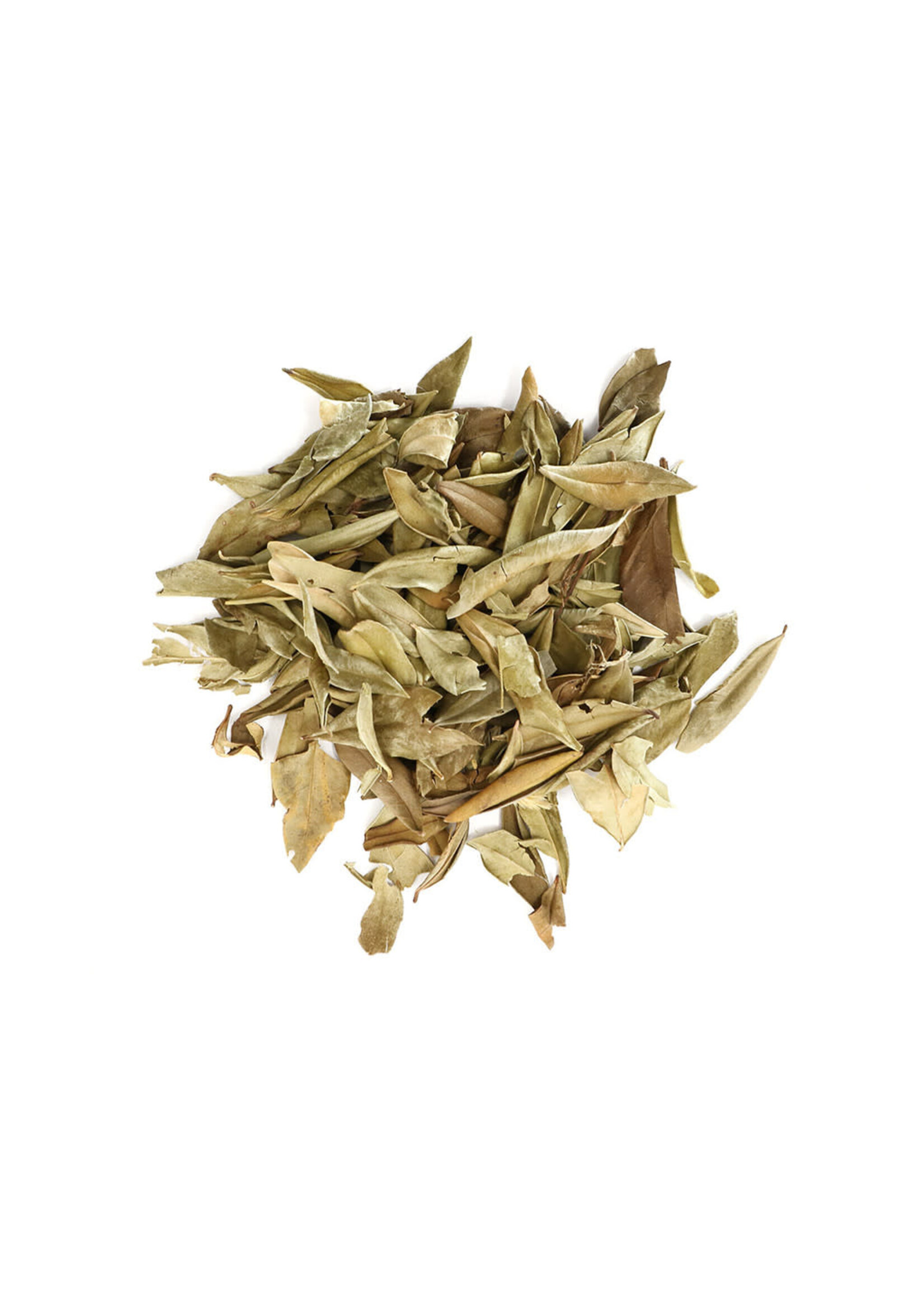 Myrtle Leaf (Myrtus communis) | Cut/Sifted Organic