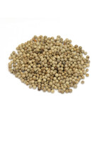 White Peppercorn (Piper nigrum) | Whole Organic