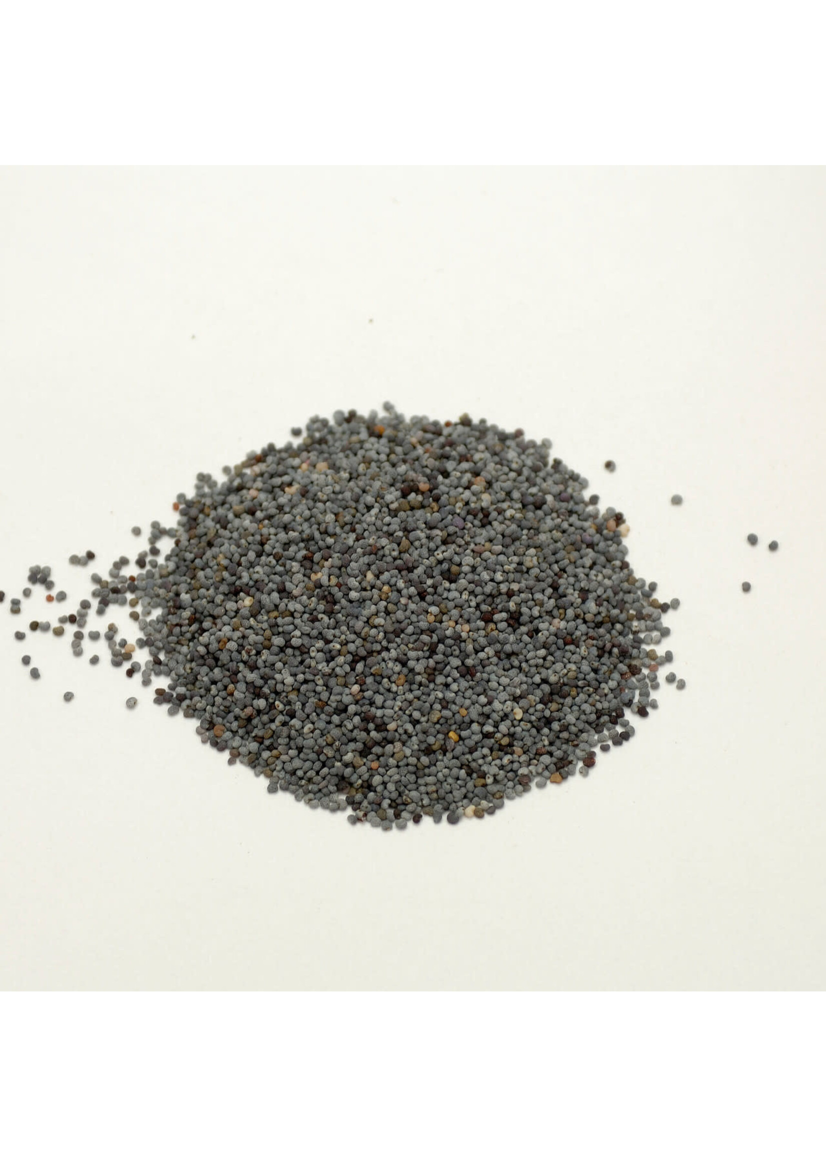 Poppy Seed (Papaver somniferum) | Whole Organic