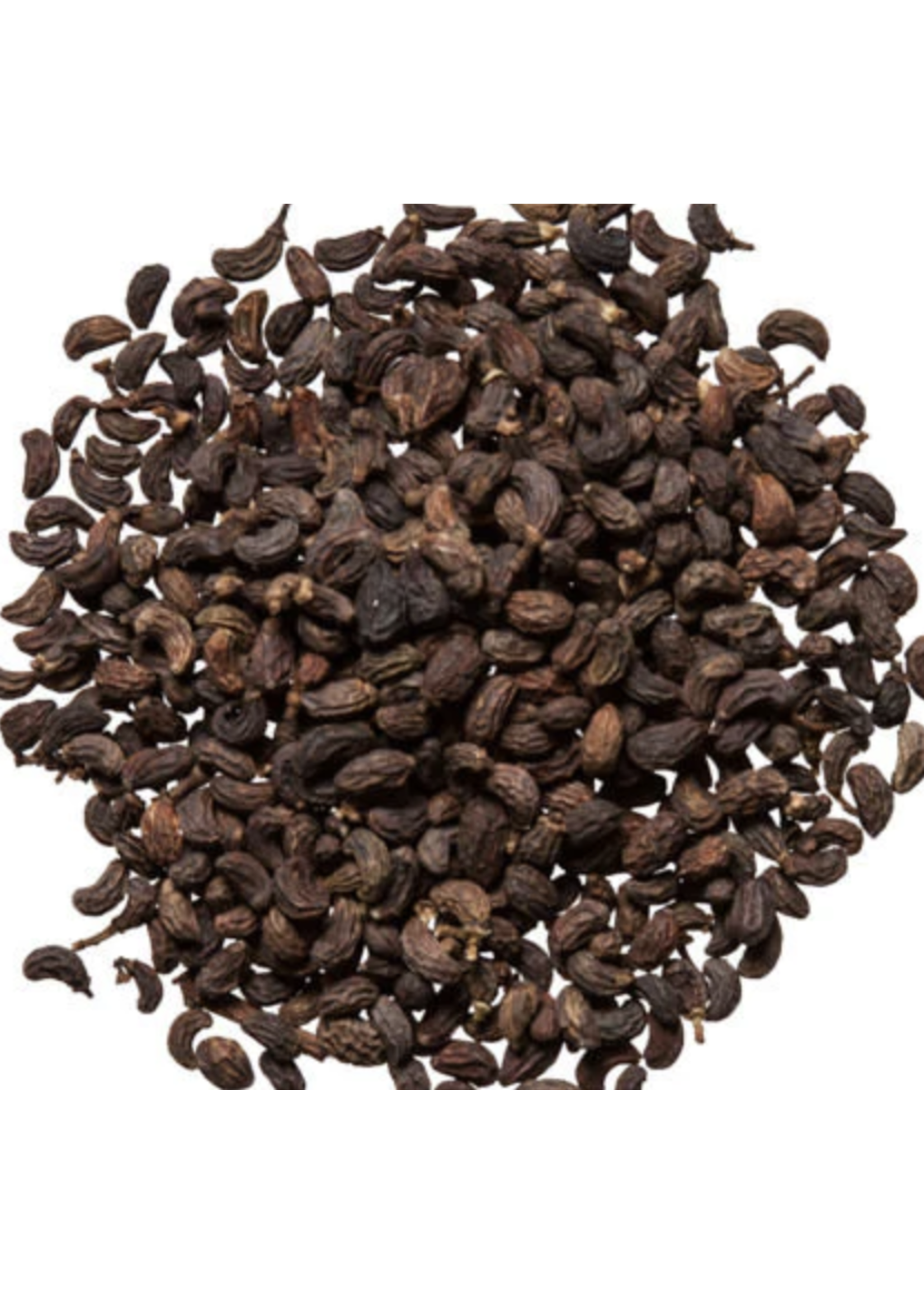 Privet Fruit (Ligustrum lucidum) | Whole Organic