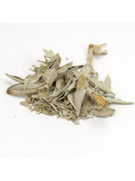 White Sage (Salvia apiana) | Whole Organic