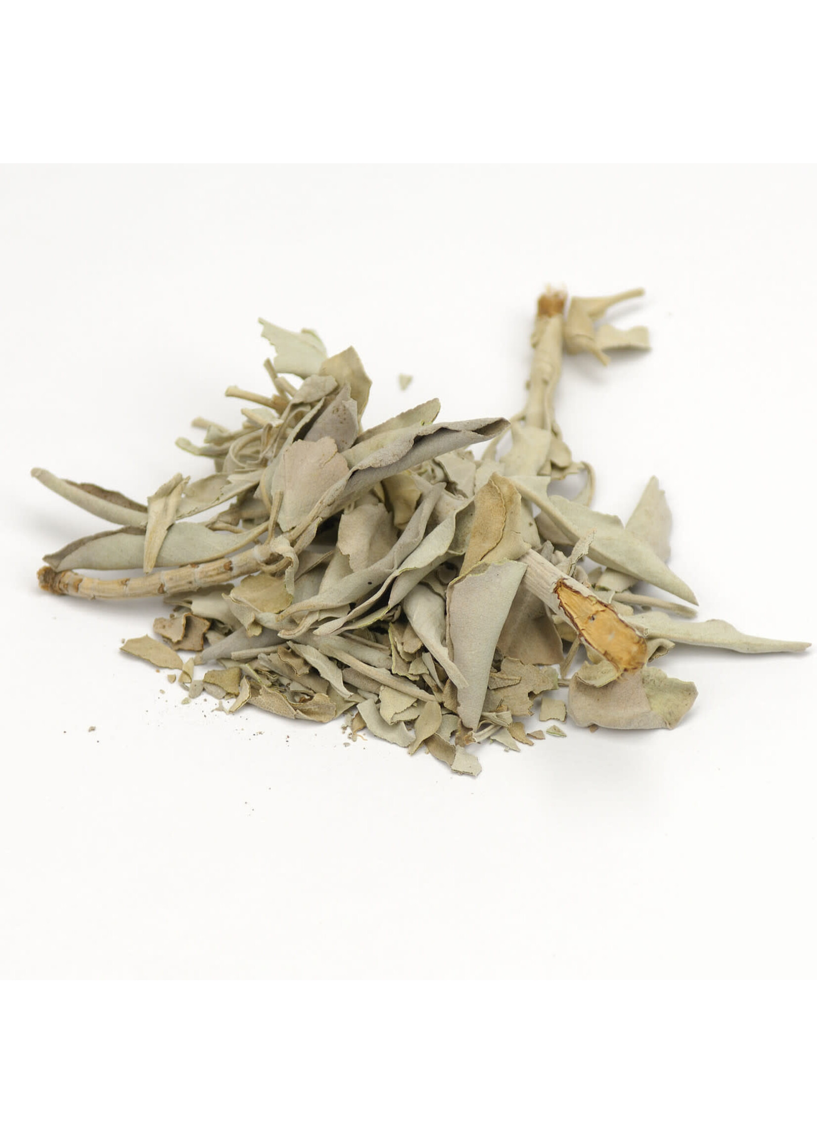 White Sage (Salvia apiana) | Whole Organic