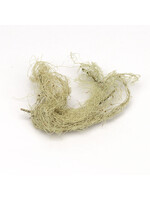 Usnea (Usnea barbata) | Cut/Sifted Organic