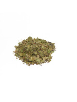 Uva Ursi Leaf (Arctostaphylos uva ursi) | Cut/Sifted Organic