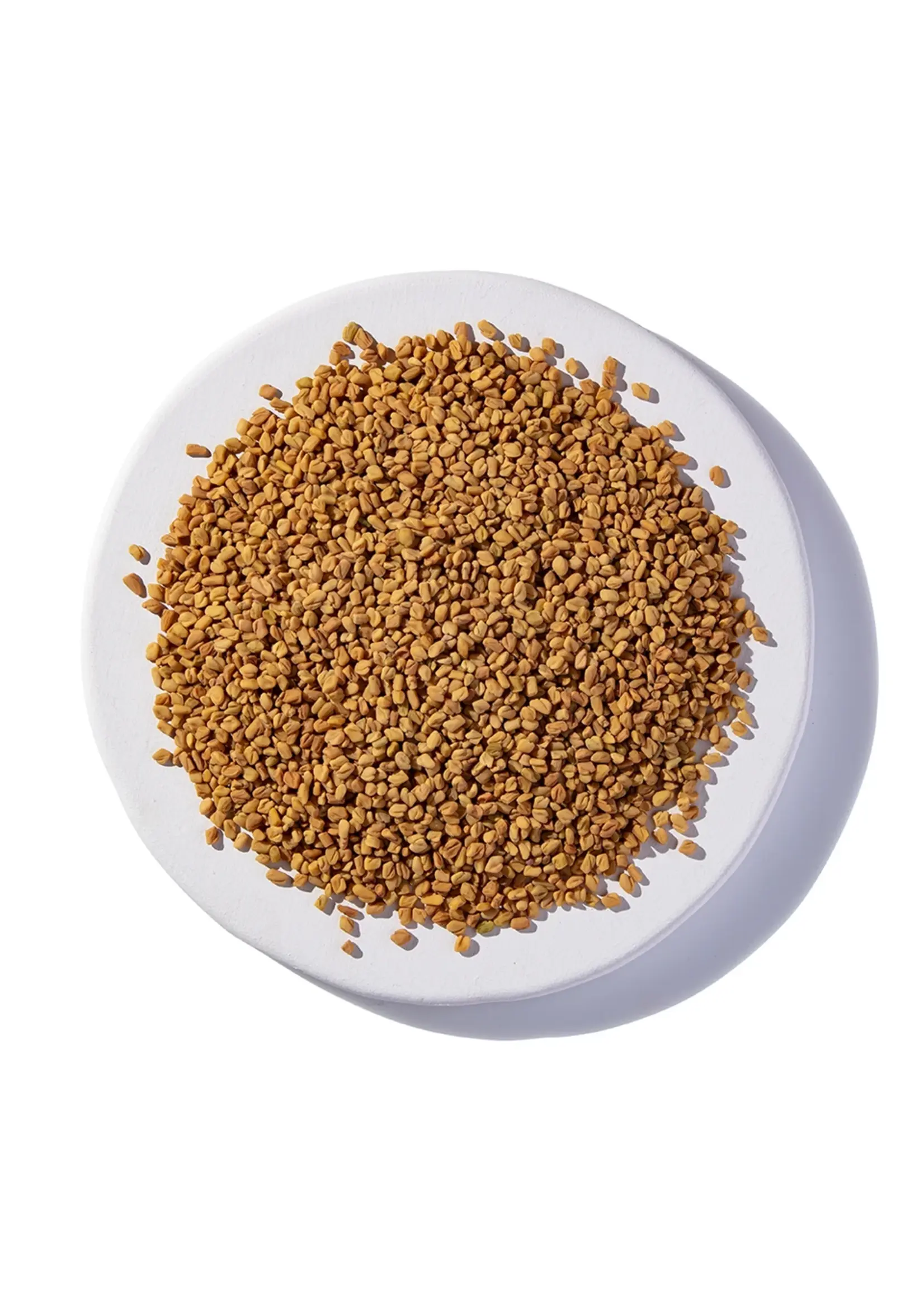 Fenugreek Seed (Trigonella foenum graecum) | Seed Organic
