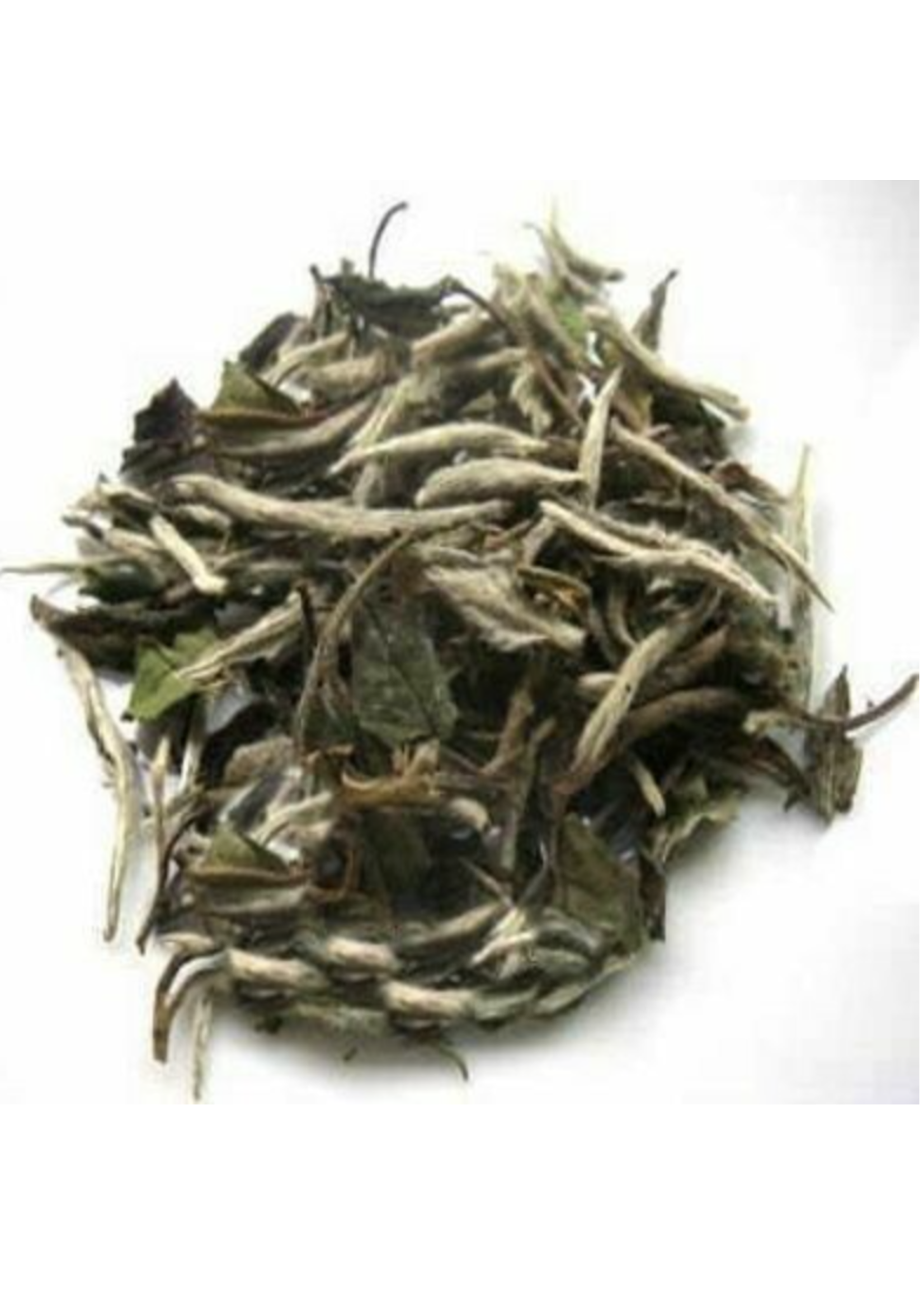 Pai MuTan White Tea | Loose Leaf Organic