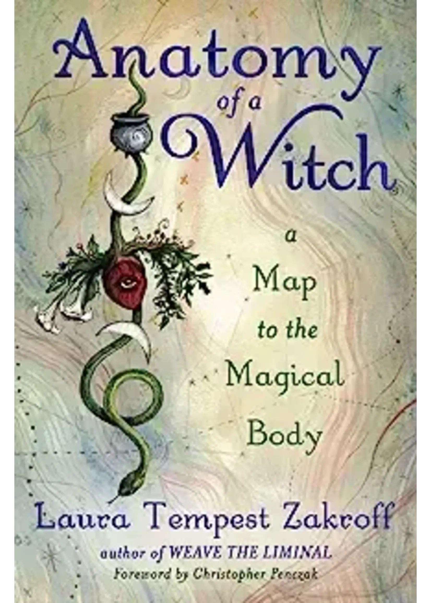Anatomy of A Witch