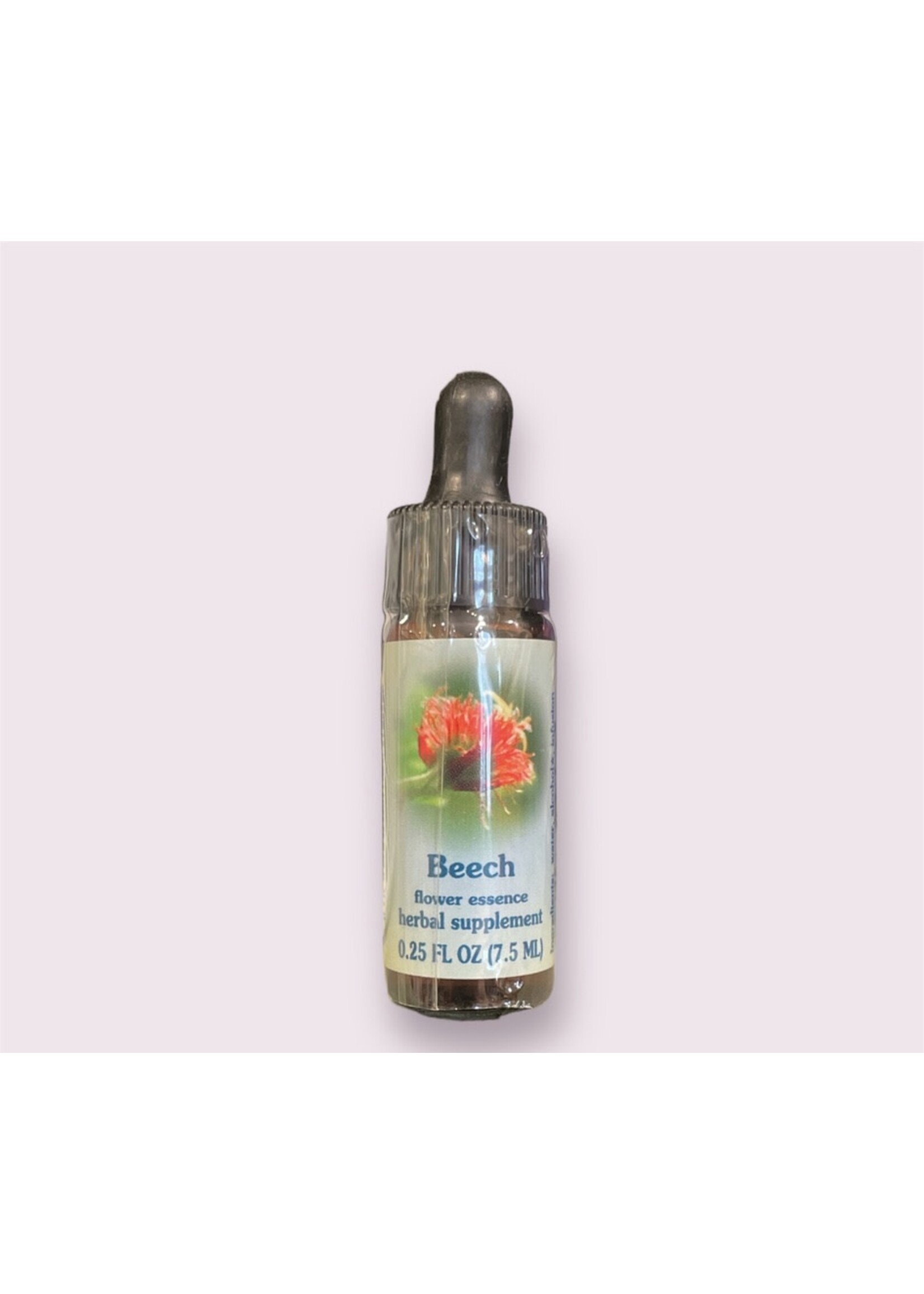 Beech | Bach Flower Essence