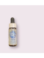 Cerato | Bach Flower Essence