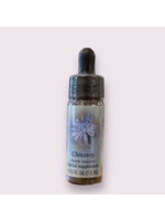 Chicory | Bach Flower Essence