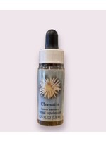 Clematis | Bach Flower Essence