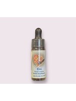 Elm | Bach Flower Essence