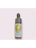 Gorse | Bach Flower Essence