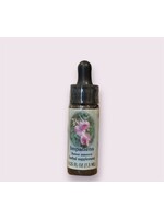 Impatiens | Bach Flower Essence