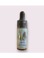 Larch | Bach Flower Essence