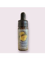 Mimulus | Bach Flower Essence