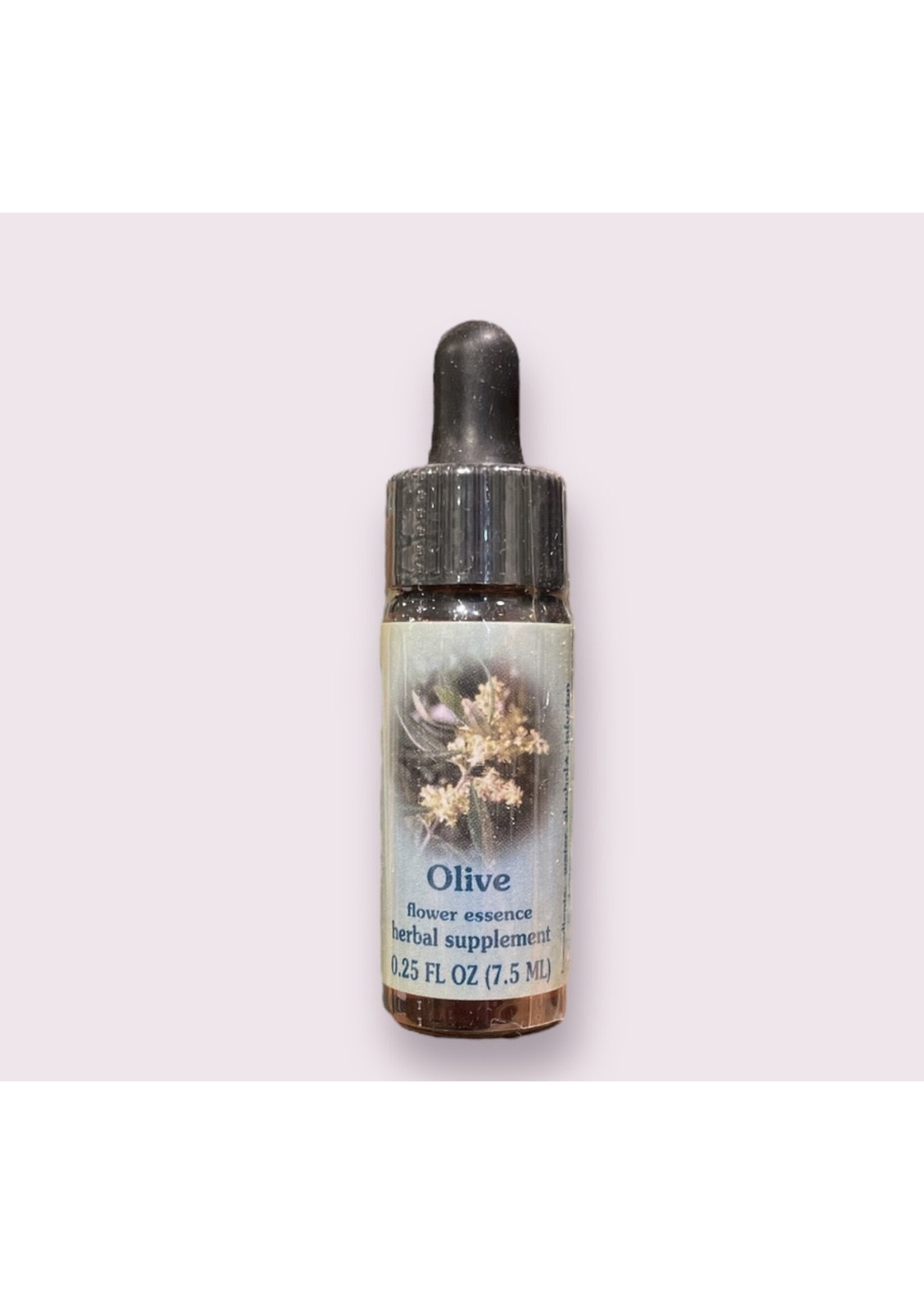 Olive | Bach Flower Essence