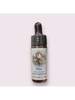 Pine | Bach Flower Essence
