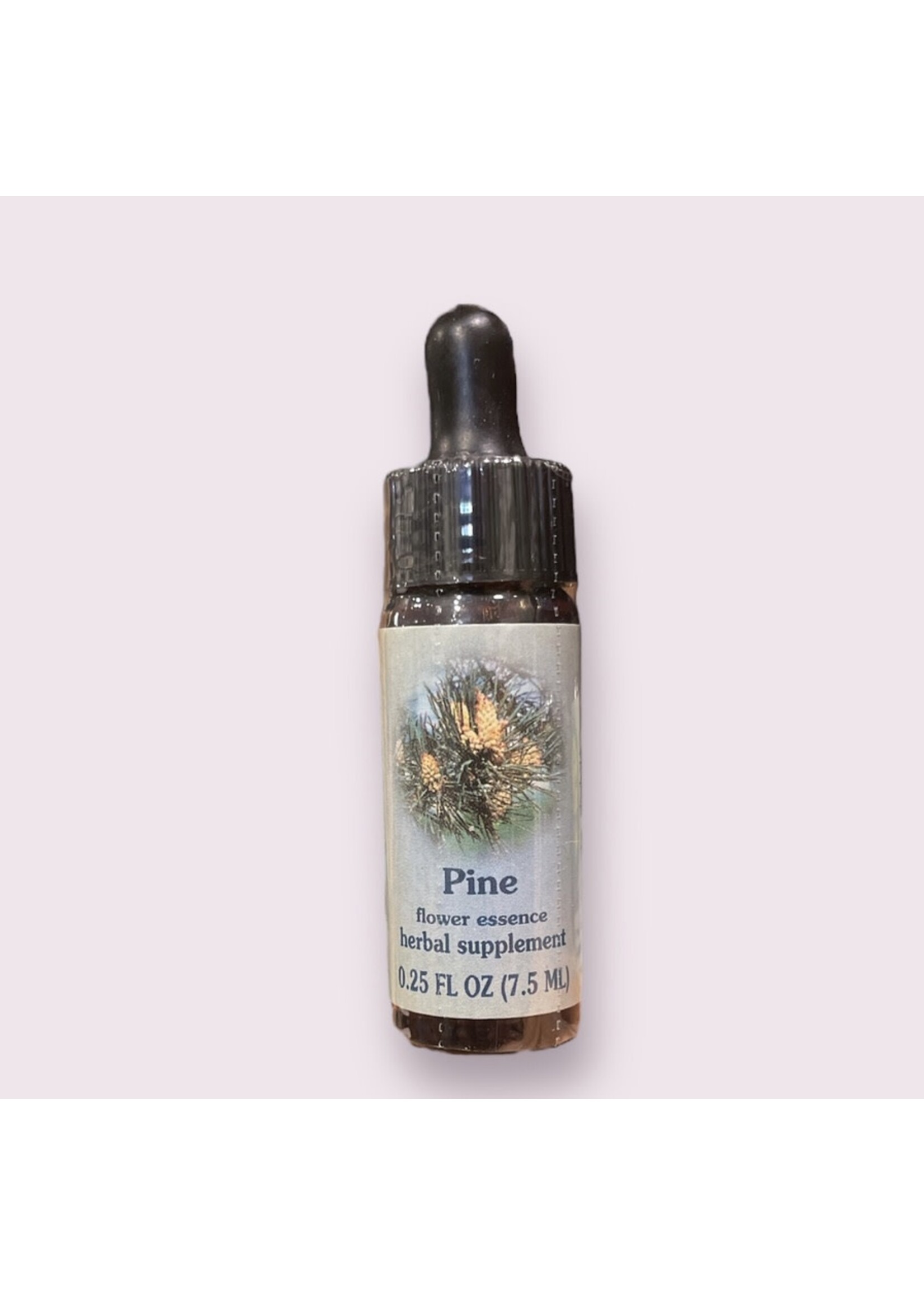 Pine | Bach Flower Essence