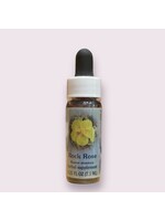 Rock Rose | Bach Flower Essence