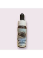Rock Water | Bach Flower Essence