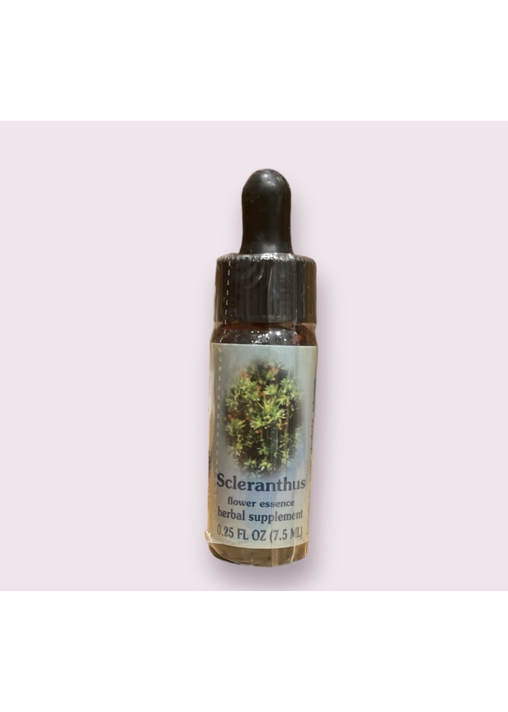 Scleranthus | Bach Flower Essence