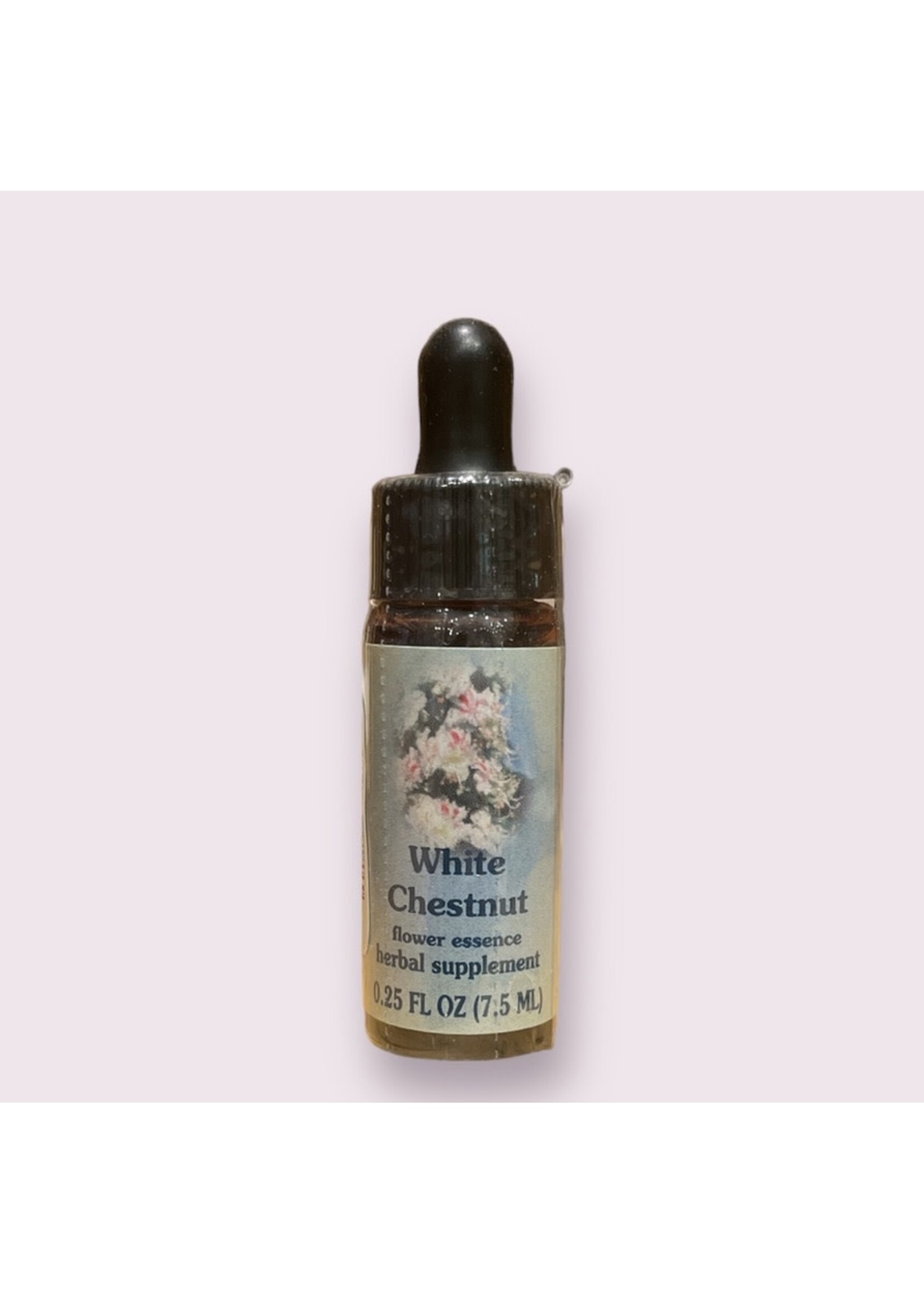 White Chestnut | Flower Essence Society