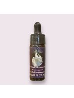 Angel's Trumpet | American Flower Essence