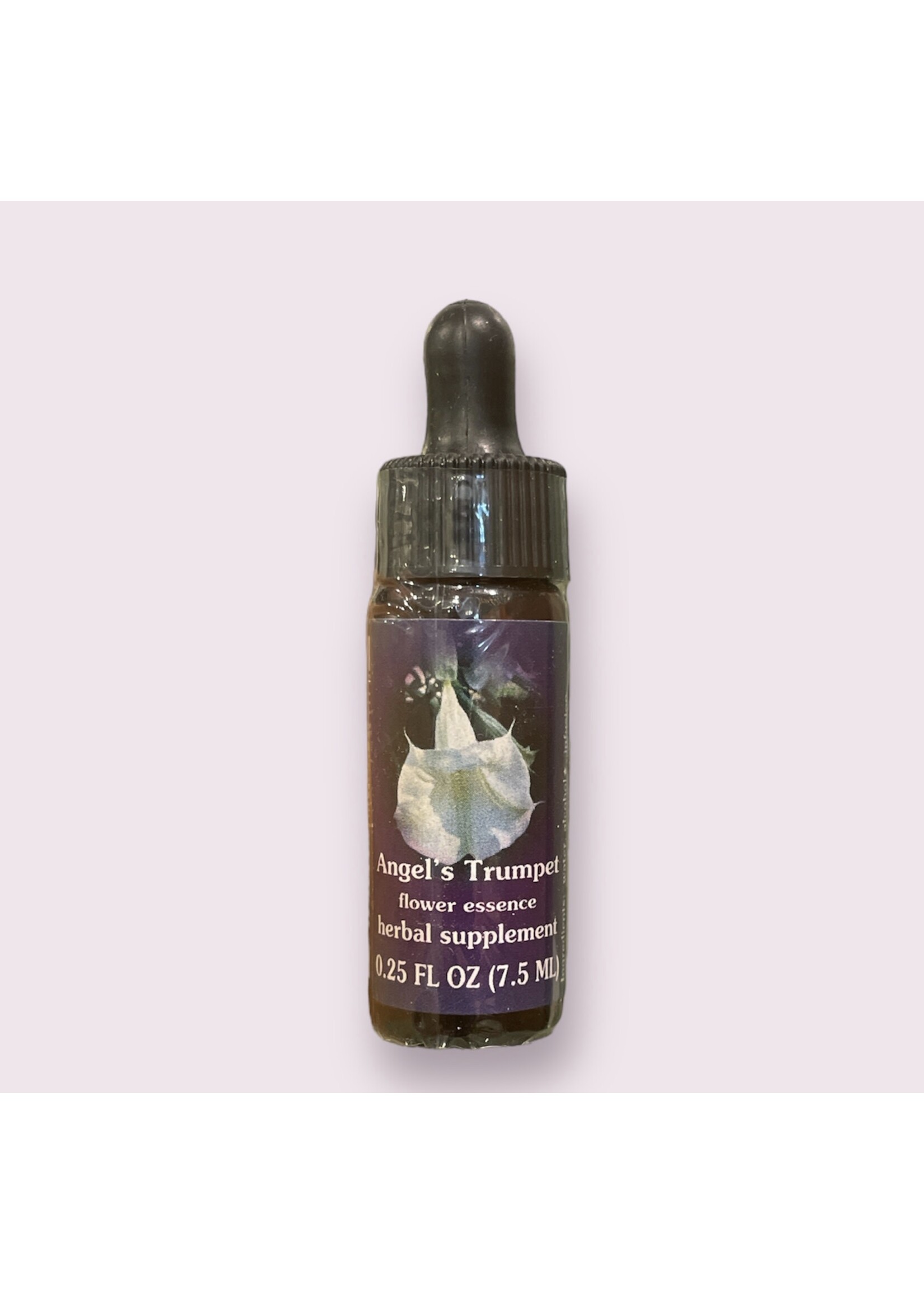 Angel's Trumpet | American Flower Essence