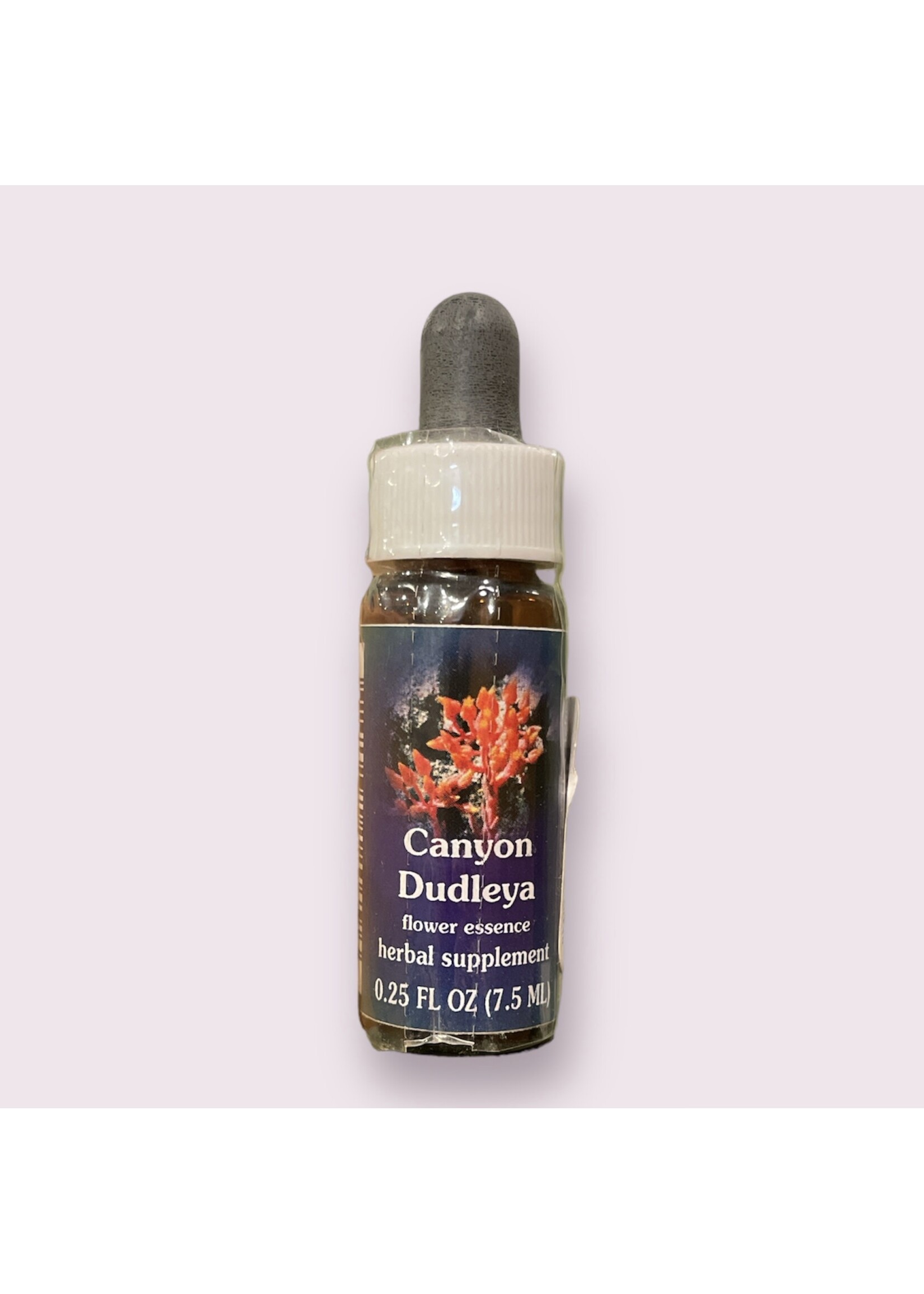 Canyon Dudley | American Flower Essence