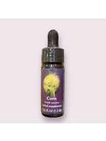 Corn | American Flower Essence