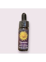 Dandelion | American Flower Essence