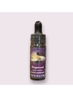 Dogwood | American Flower Essence
