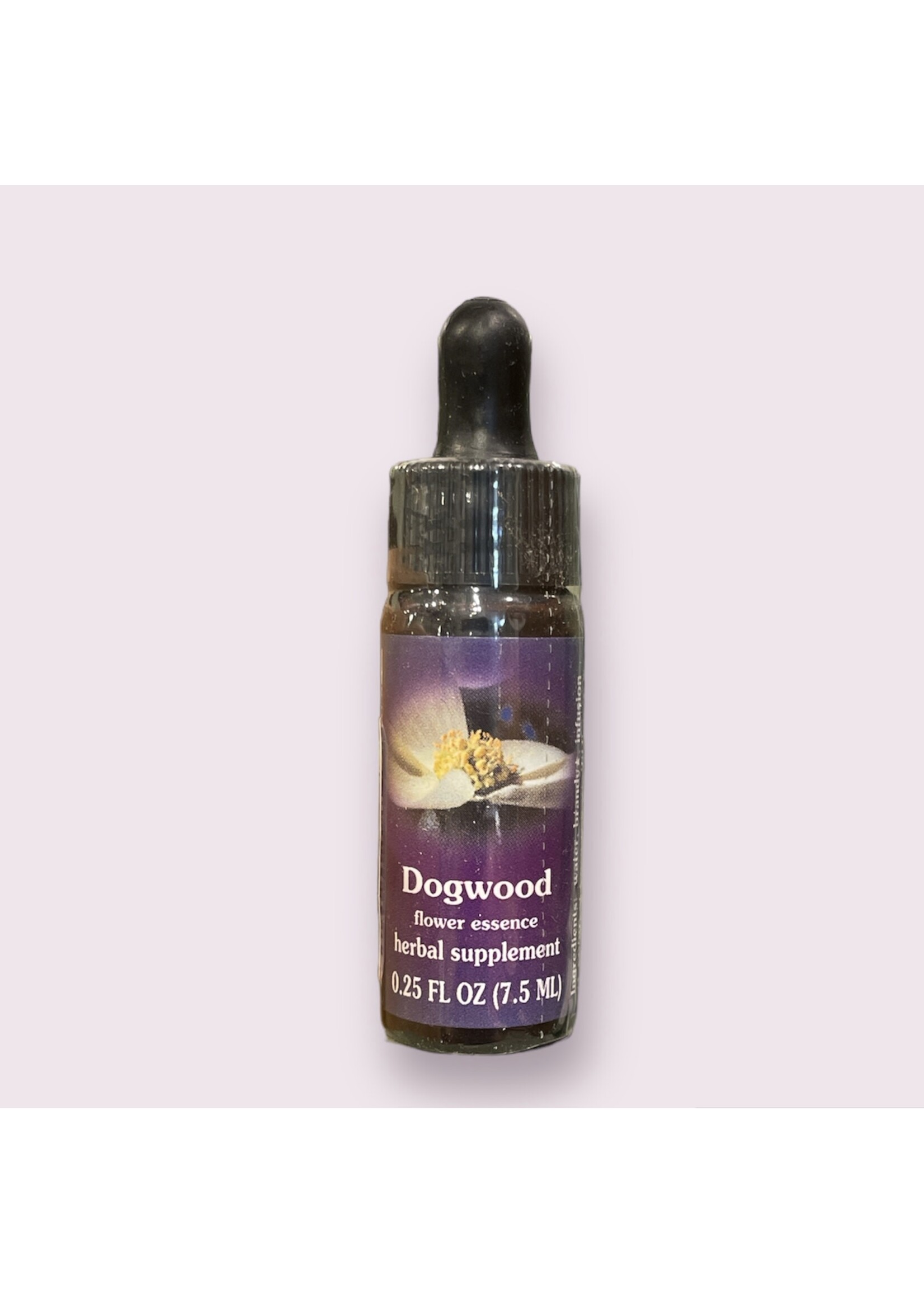 Dogwood | American Flower Essence