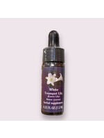White Trumpet Lily| American Flower Essence